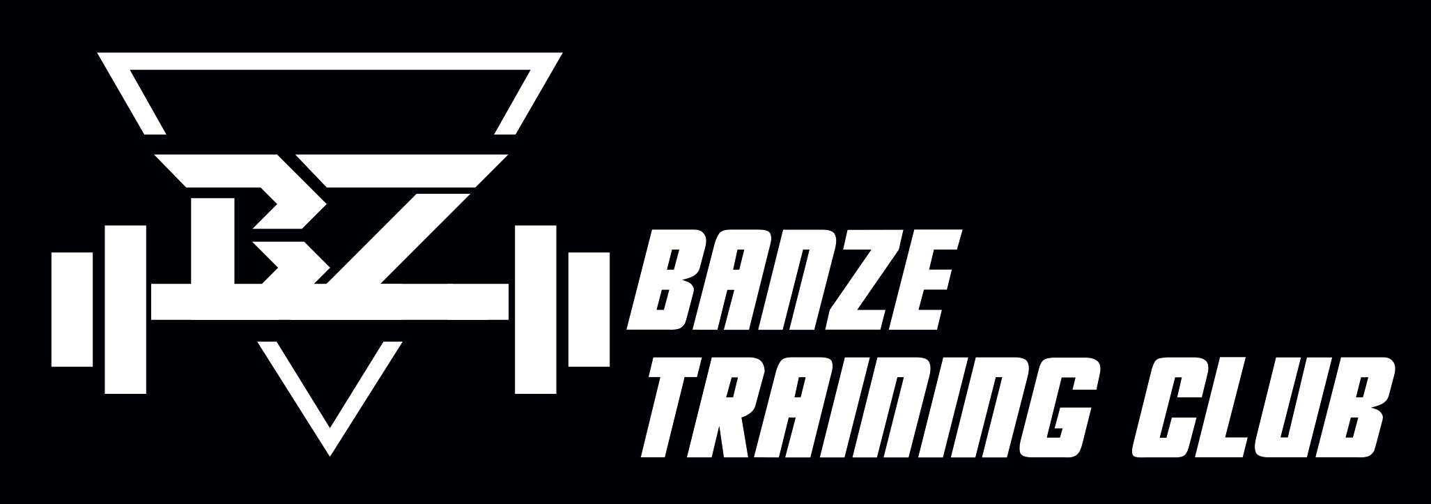 dark logo